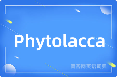 Phytolacca