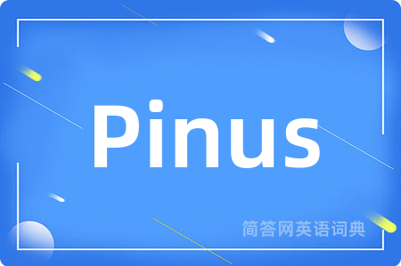 Pinus