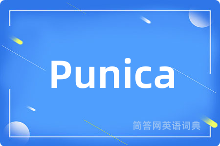 Punica