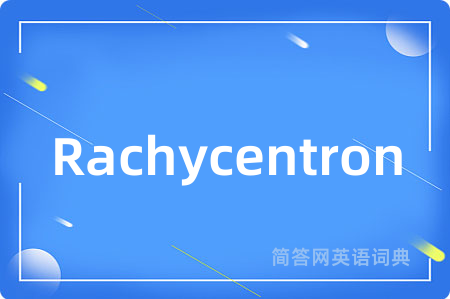 Rachycentron是什么意思,Rachycentron的中文翻译 Rachycentron