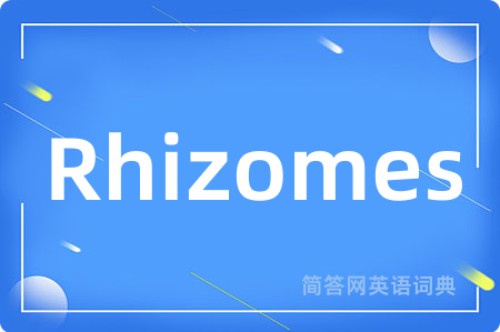 Rhizomes