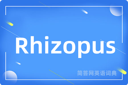 Rhizopus是什么意思,Rhizopus的中文翻译 Rhizopus