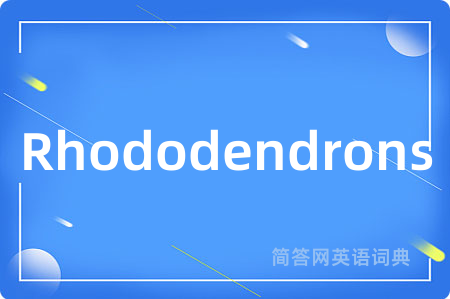 Rhododendrons是什么意思,Rhododendrons的中文翻译 Rhododendrons