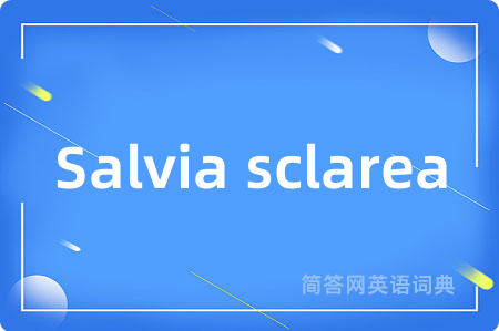 Salvia sclarea