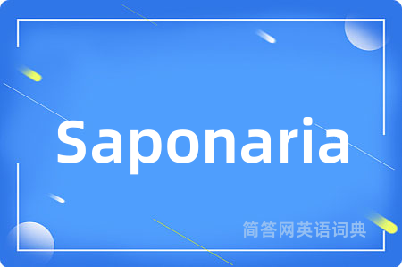 Saponaria