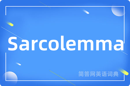 Sarcolemma