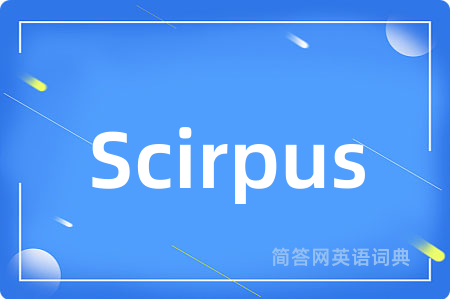 Scirpus是什么意思,Scirpus的中文翻译 Scirpus