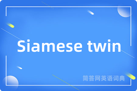 Siamese twin是什么意思,Siamese twin的中文翻译 Siamese twin
