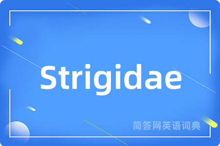 Strigidae