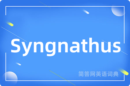 Syngnathus