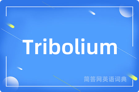 Tribolium