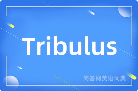 Tribulus