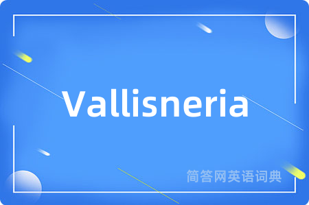 Vallisneria