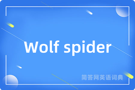Wolf spider是什么意思,Wolf spider的中文翻译 Wolf spider