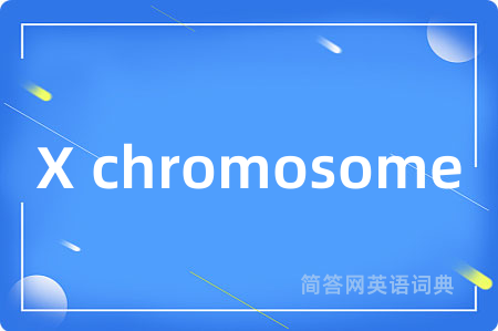 X chromosome