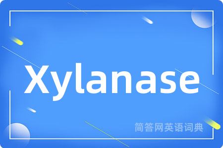 Xylanase