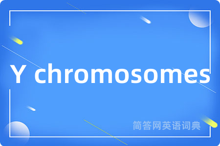 Y chromosomes是什么意思,Y chromosomes的中文翻译 Y chromosomes