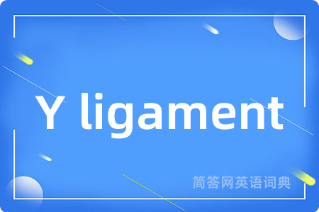 Y ligament