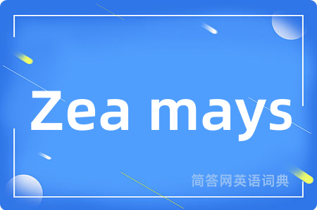 Zea mays