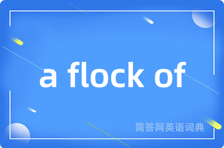 a flock of