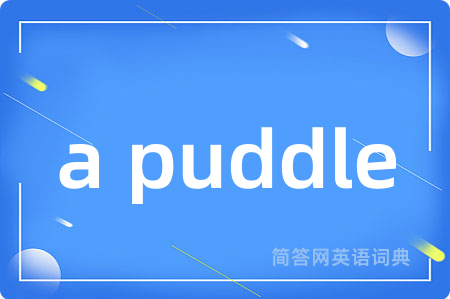 a puddle
