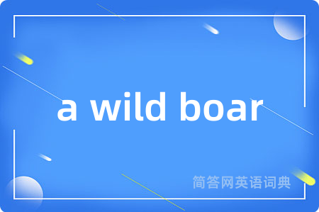 a wild boar