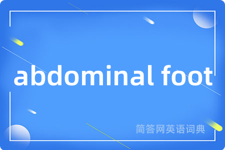 abdominal foot