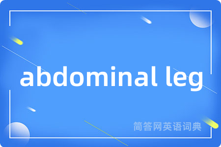 abdominal leg