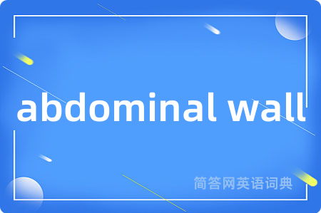 abdominal wall