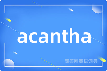 acantha