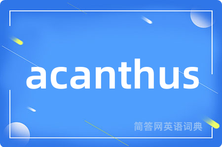 acanthus