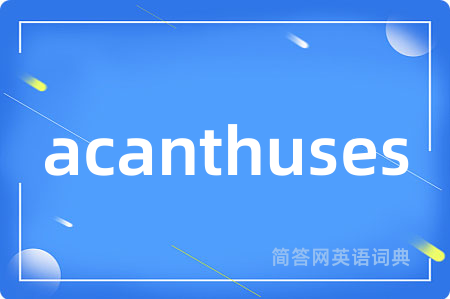 acanthuses