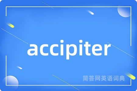 accipiter