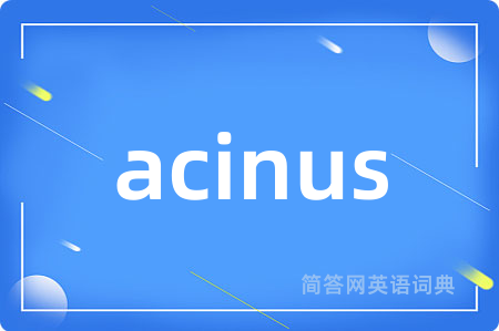 acinus