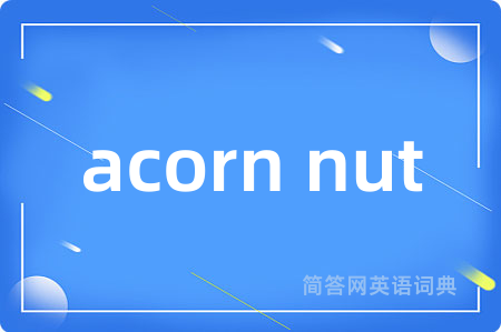 acorn nut