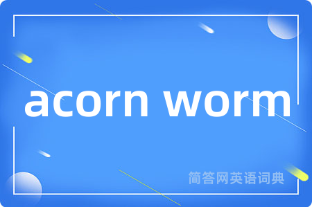 acorn worm是什么意思,acorn worm的中文翻译 acorn worm