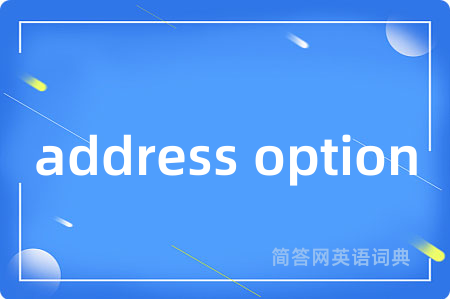 address option是什么意思,address option的中文翻译 address option
