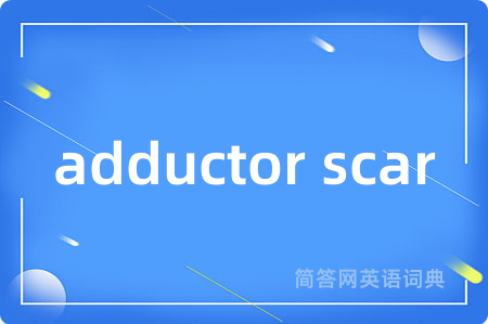 adductor scar