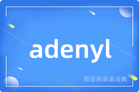 adenyl是什么意思,adenyl的中文翻译 adenyl