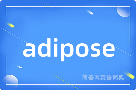 adipose是什么意思,adipose的中文翻译 adipose