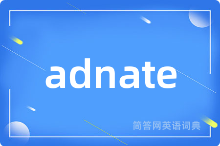 adnate是什么意思,adnate的中文翻译 adnate