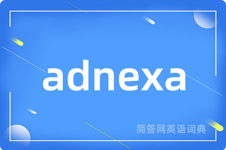 adnexa