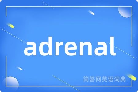 adrenal