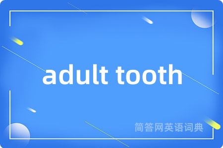 adult tooth是什么意思,adult tooth的中文翻译 adult tooth