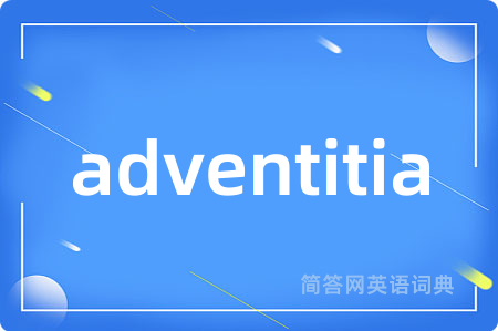adventitia