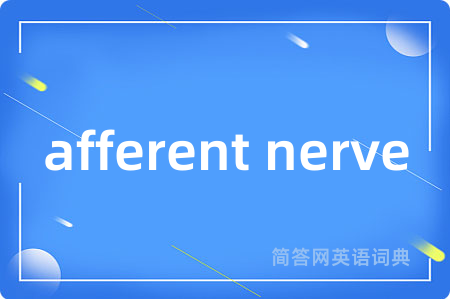 afferent nerve