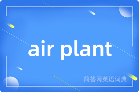 air plant是什么意思,air plant的中文翻译 air plant