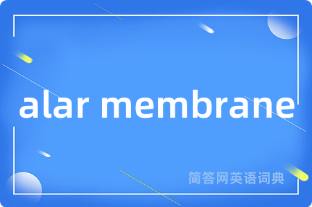 alar membrane