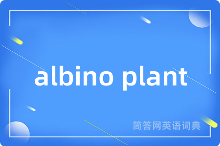 albino plant