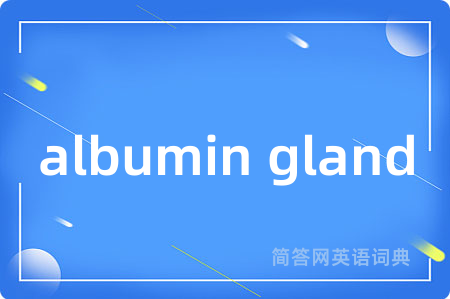 albumin gland